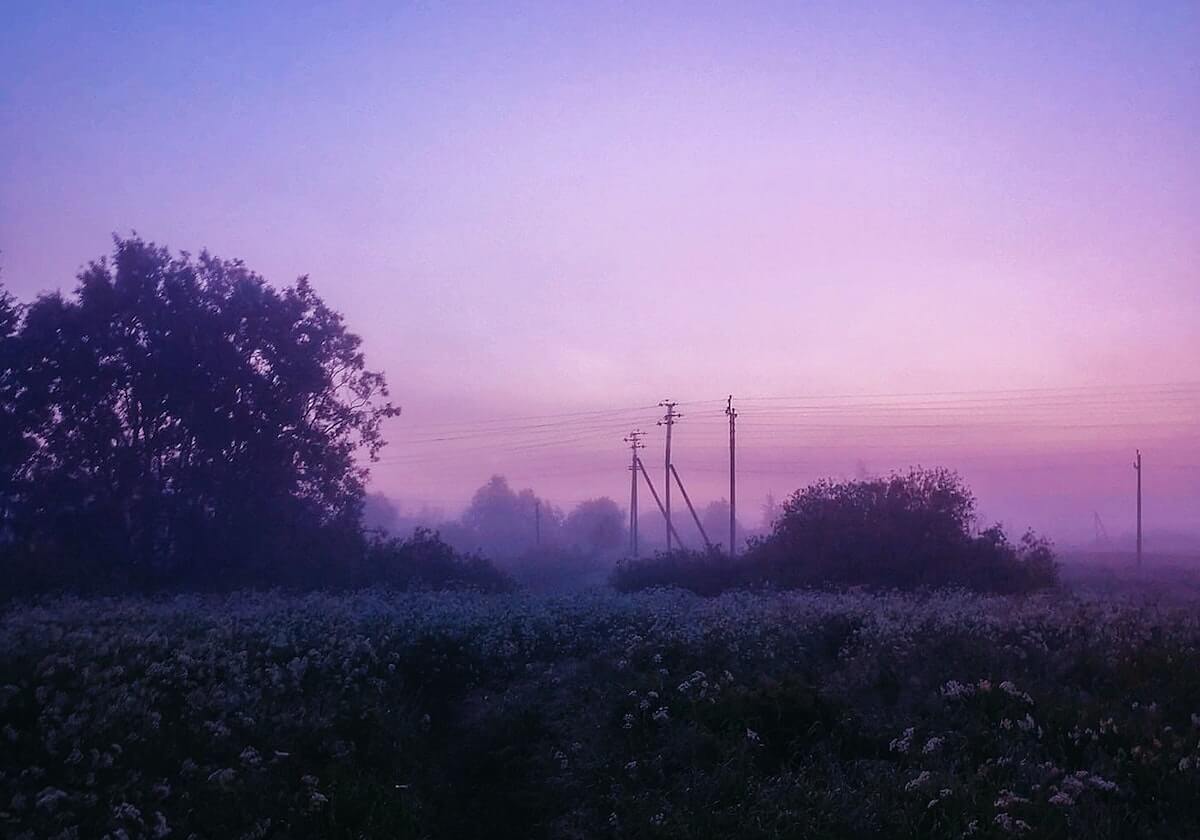 【各队赛季总结】莫兰特+詹金斯 灰熊找到财富密码