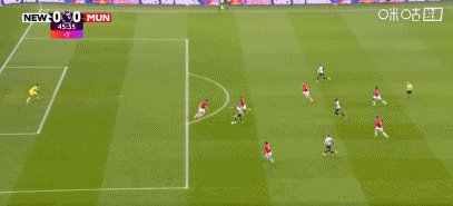 1772668233428016092.gif 纽曼45+1.gif