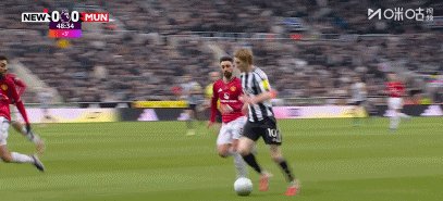 1772668245423094604.gif 纽曼45+6A.gif